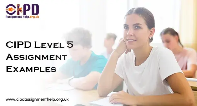 CIPD Level 5 Assignment With Examples