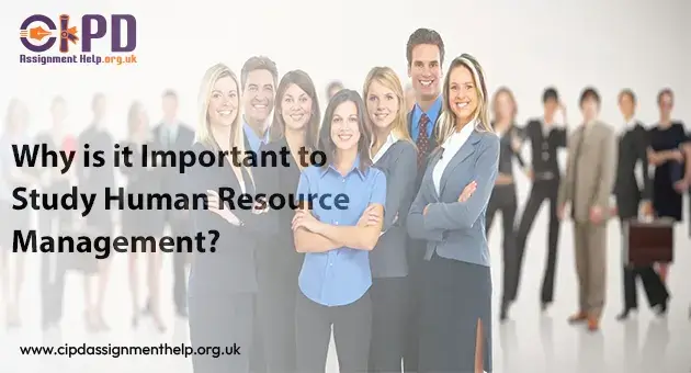 Human Resource